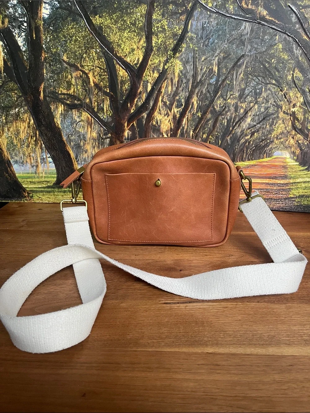 Madewell cow Leather Messenger Bag with canvas Adjustable Strap